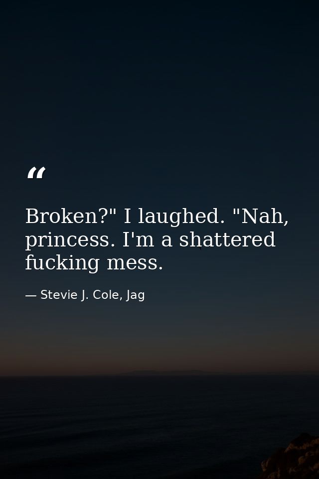 Broken?" I laughed. "Nah, princess. I'm a shattered fucking mess. — Stevie J. Cole, Jag