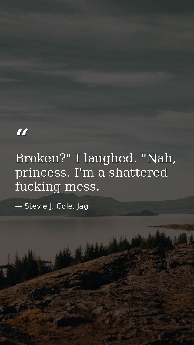 Broken?" I laughed. "Nah, princess. I'm a shattered fucking mess. — Stevie J. Cole, Jag