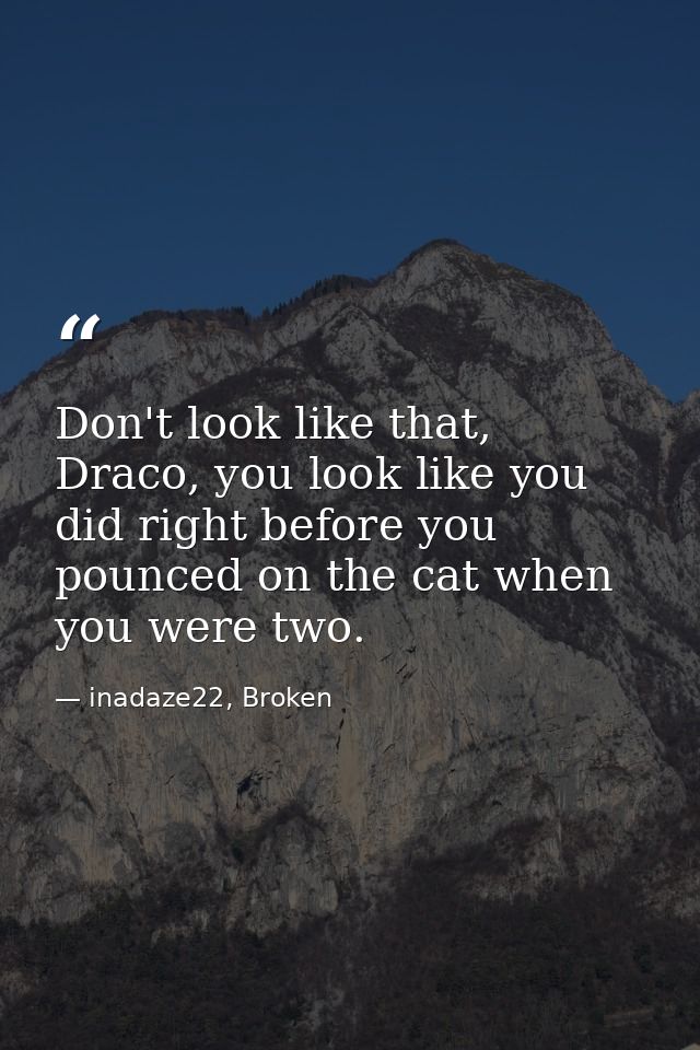 Don't look like that, Draco, you look like you did right before you pounced on the cat when you were two. — inadaze22, Broken