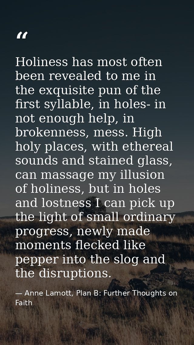 Holiness has most often been revealed to me in the exquisite pun of the first syllable, in holes- in not enough help, in — Anne Lamott, Plan B: Further Thoughts on Faith