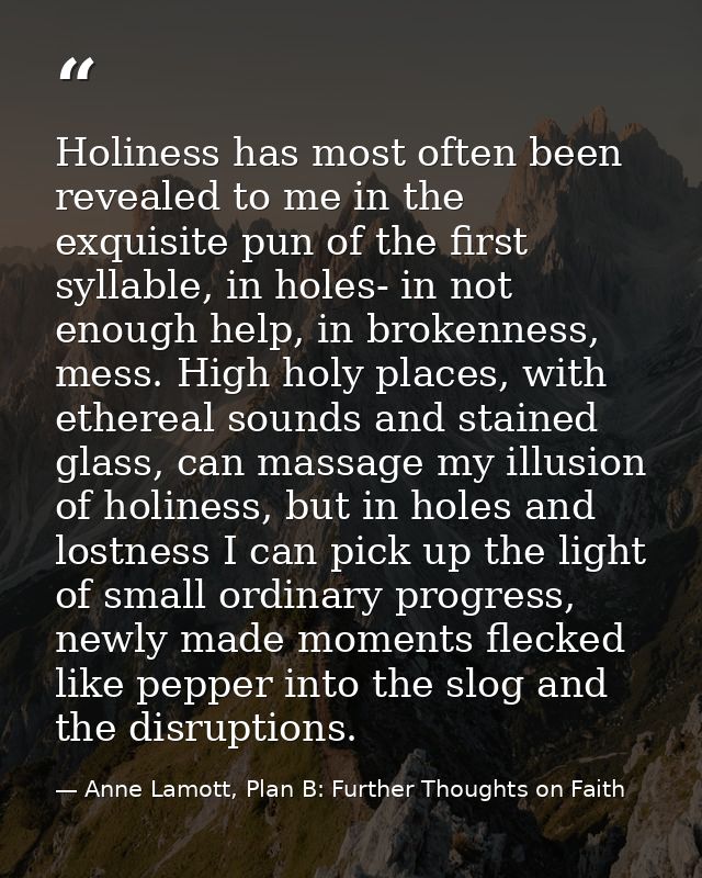 Holiness has most often been revealed to me in the exquisite pun of the first syllable, in holes- in not enough help, in — Anne Lamott, Plan B: Further Thoughts on Faith