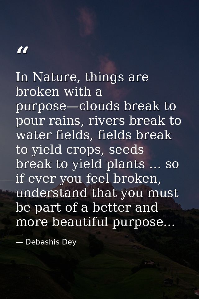 In Nature, things are broken with a purpose—clouds break to pour rains, rivers break to water fields, fields break to yi — Debashis Dey