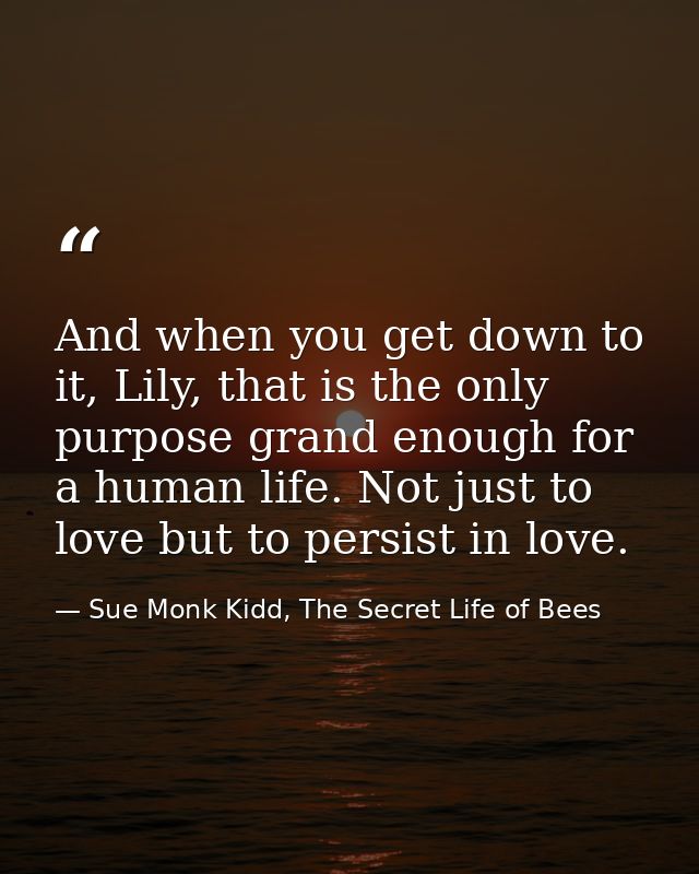 And when you get down to it, Lily, that is the only purpose grand enough for a human life. Not just to love but to persi — Sue Monk Kidd, The Secret Life of Bees