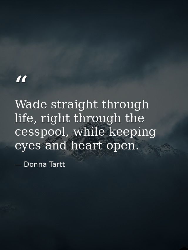 Wade straight through life, right through the cesspool, while keeping eyes and heart open. — Donna Tartt