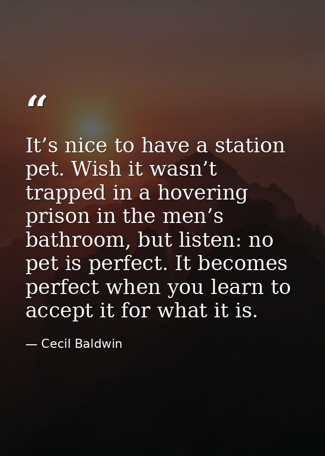 It’s nice to have a station pet. Wish it wasn’t trapped in a hovering prison in the men’s bathroom, but listen: no pet i — Cecil Baldwin