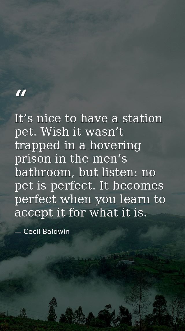 It’s nice to have a station pet. Wish it wasn’t trapped in a hovering prison in the men’s bathroom, but listen: no pet i — Cecil Baldwin