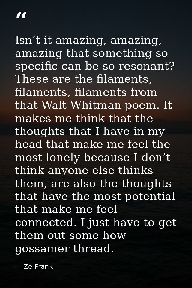 Isn’t it amazing, amazing, amazing that something so specific can be so resonant? These are the filaments, filaments, fi — Ze Frank