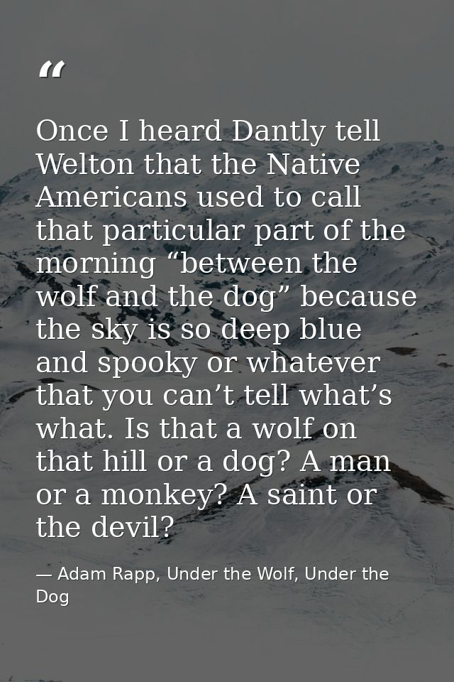 Once I heard Dantly tell Welton that the Native Americans used to call that particular part of the morning “between the  — Adam Rapp, Under the Wolf, Under the Dog