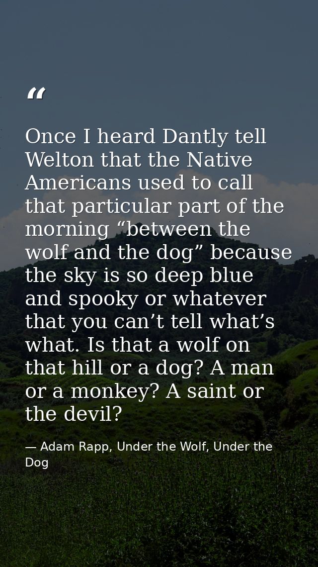 Once I heard Dantly tell Welton that the Native Americans used to call that particular part of the morning “between the  — Adam Rapp, Under the Wolf, Under the Dog
