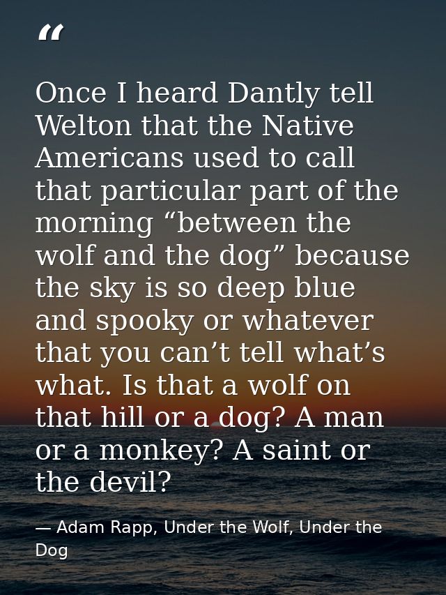 Once I heard Dantly tell Welton that the Native Americans used to call that particular part of the morning “between the  — Adam Rapp, Under the Wolf, Under the Dog