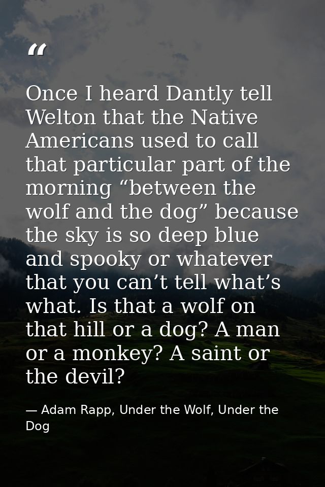 Once I heard Dantly tell Welton that the Native Americans used to call that particular part of the morning “between the  — Adam Rapp, Under the Wolf, Under the Dog