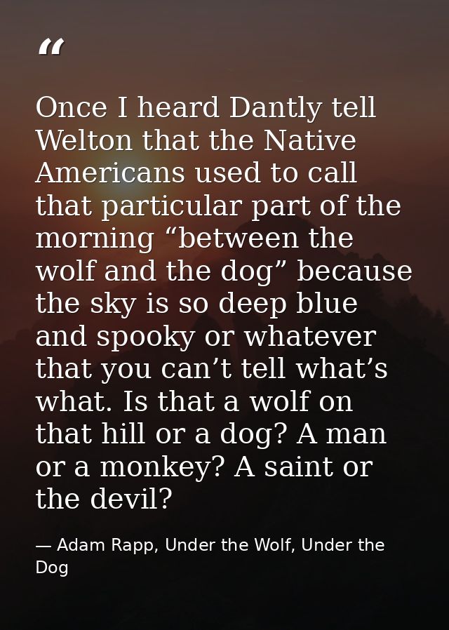 Once I heard Dantly tell Welton that the Native Americans used to call that particular part of the morning “between the  — Adam Rapp, Under the Wolf, Under the Dog