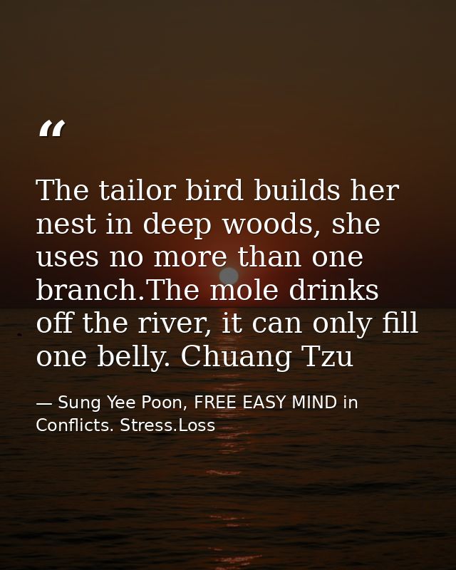 The tailor bird builds her nest in deep woods, she uses no more than one branch.The mole drinks off the river, it can on — Sung Yee Poon, FREE EASY MIND in Conflicts. Stress.Loss
