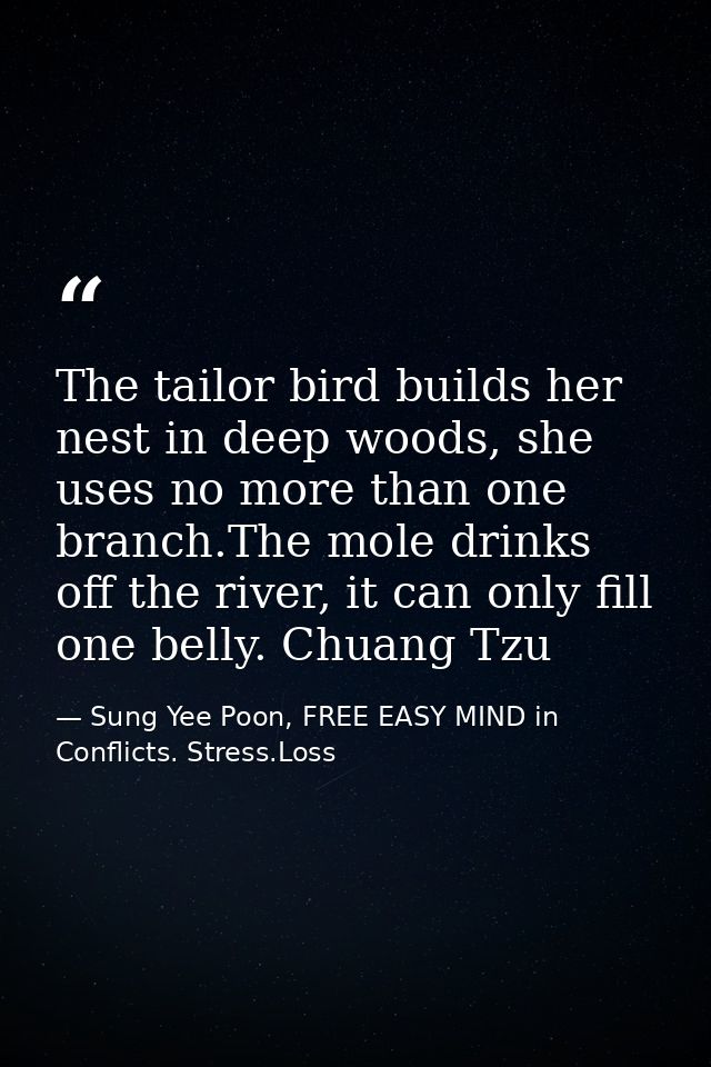 The tailor bird builds her nest in deep woods, she uses no more than one branch.The mole drinks off the river, it can on — Sung Yee Poon, FREE EASY MIND in Conflicts. Stress.Loss