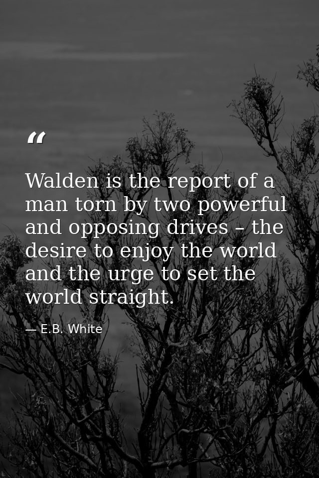 Walden is the report of a man torn by two powerful and opposing drives – the desire to enjoy the world and the urge to s — E.B. White