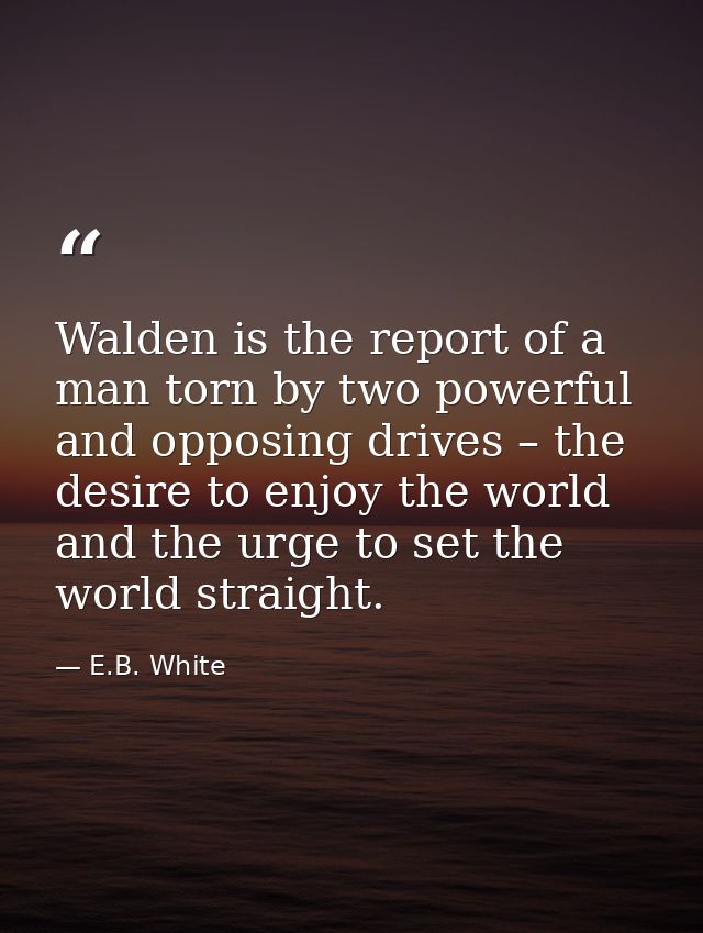 Walden is the report of a man torn by two powerful and opposing drives – the desire to enjoy the world and the urge to s — E.B. White