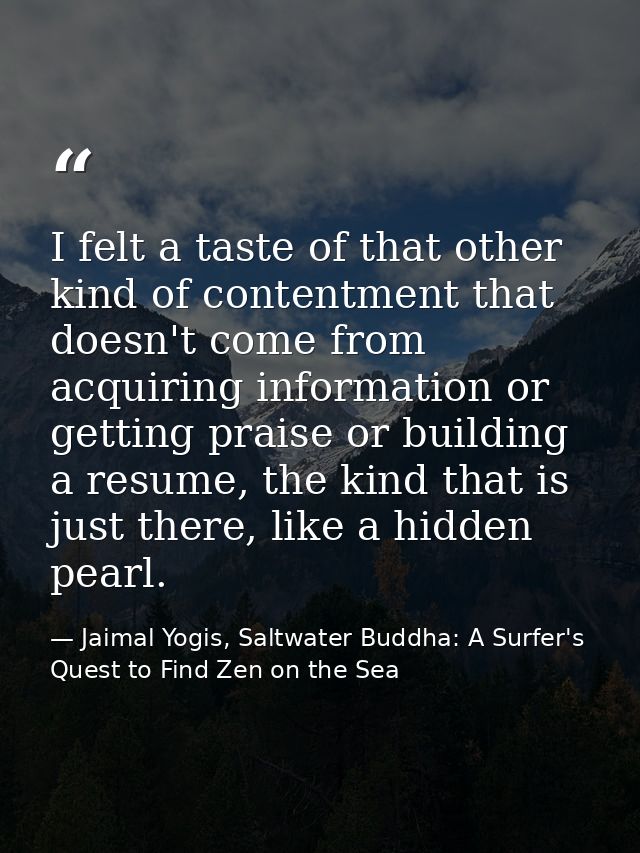 I felt a taste of that other kind of contentment that doesn't come from acquiring information or getting praise or build — Jaimal Yogis, Saltwater Buddha: A Surfer's Quest to Find Zen on the Sea