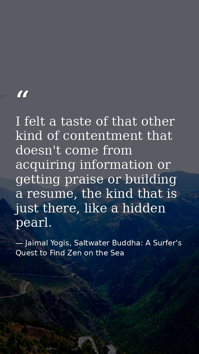 I felt a taste of that other kind of contentment that doesn't come from acquiring information or getting praise or build — Jaimal Yogis, Saltwater Buddha: A Surfer's Quest to Find Zen on the Sea