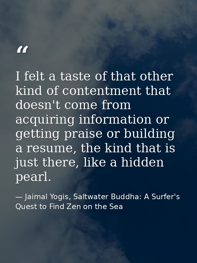 I felt a taste of that other kind of contentment that doesn't come from acquiring information or getting praise or build — Jaimal Yogis, Saltwater Buddha: A Surfer's Quest to Find Zen on the Sea