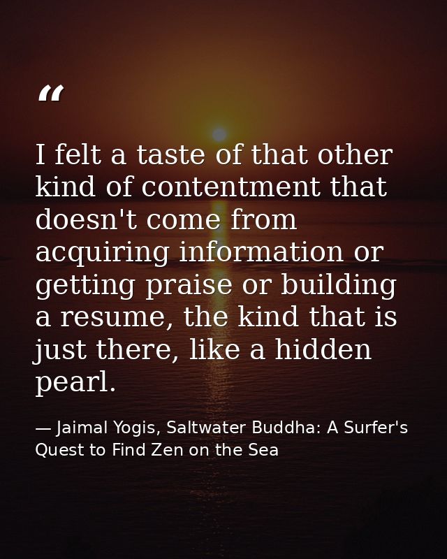 I felt a taste of that other kind of contentment that doesn't come from acquiring information or getting praise or build — Jaimal Yogis, Saltwater Buddha: A Surfer's Quest to Find Zen on the Sea