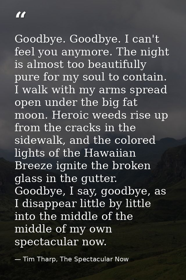 Goodbye. Goodbye. I can't feel you anymore. The night is almost too beautifully pure for my soul to contain. I walk with — Tim Tharp, The Spectacular Now
