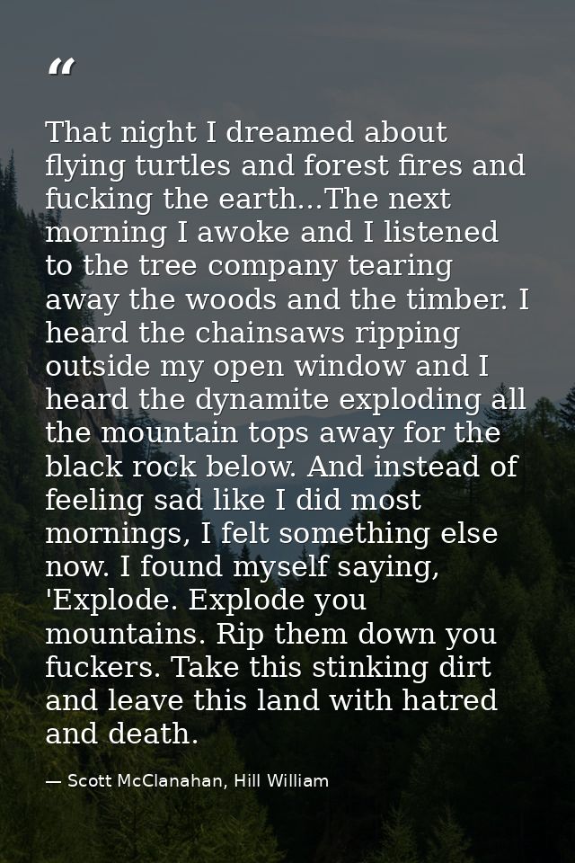 That night I dreamed about flying turtles and forest fires and fucking the earth...The next morning I awoke and I listen — Scott McClanahan, Hill William