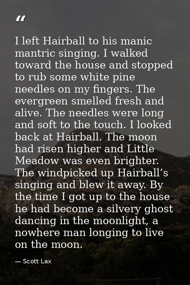 I left Hairball to his manic mantric singing. I walked toward the house and stopped to rub some white pine needles on my — Scott Lax