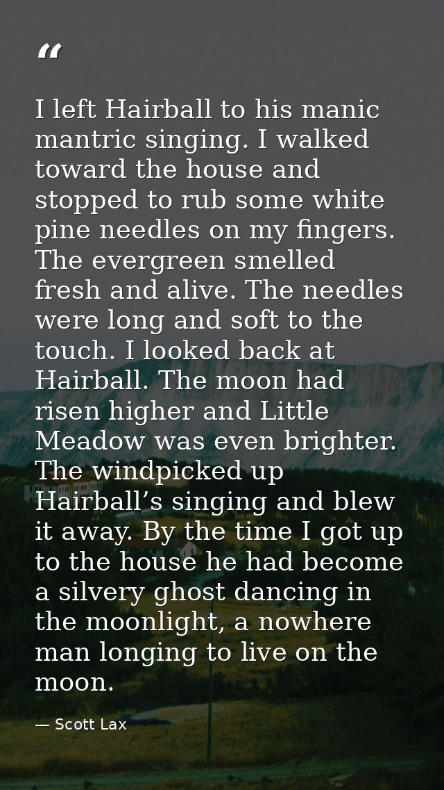I left Hairball to his manic mantric singing. I walked toward the house and stopped to rub some white pine needles on my — Scott Lax