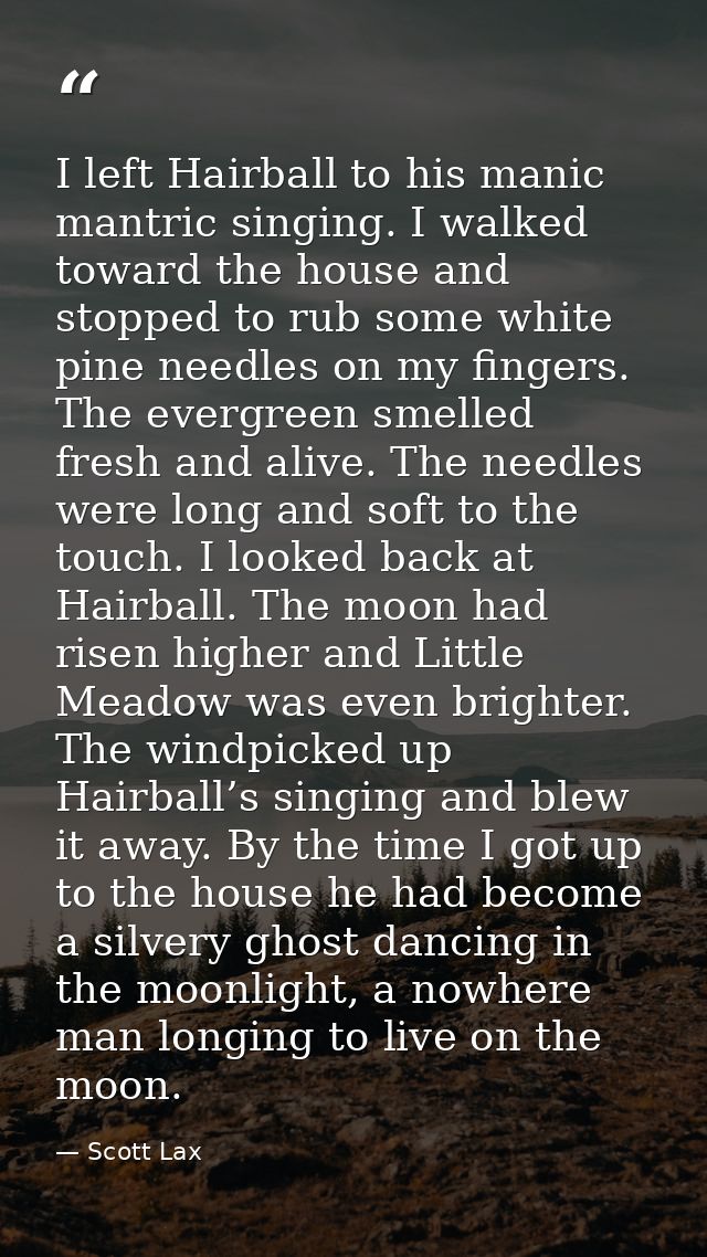 I left Hairball to his manic mantric singing. I walked toward the house and stopped to rub some white pine needles on my — Scott Lax