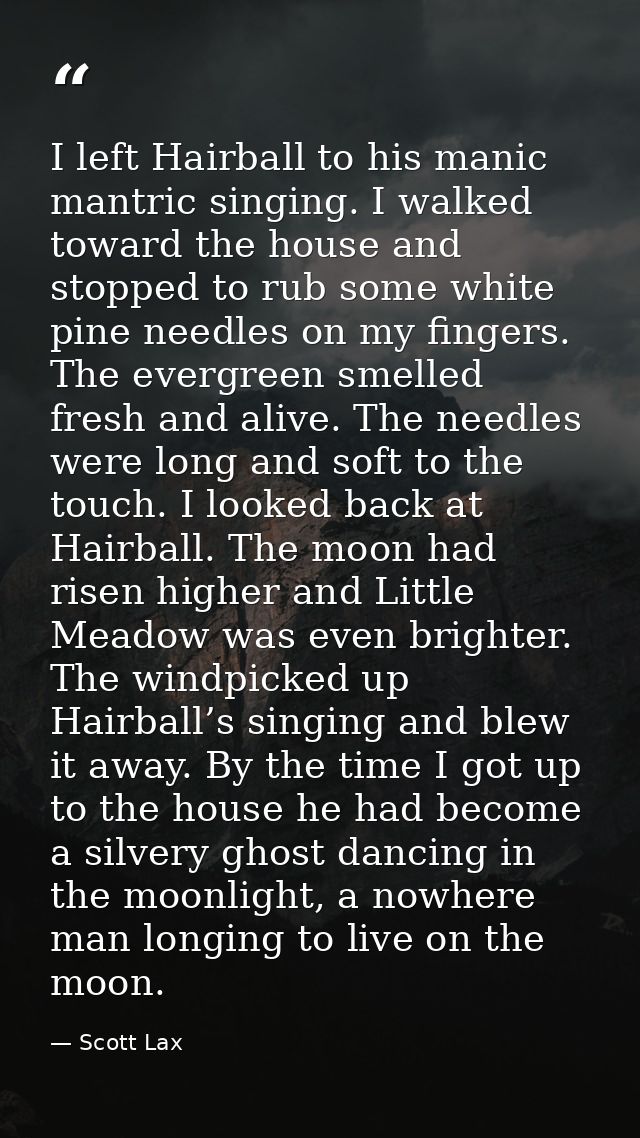 I left Hairball to his manic mantric singing. I walked toward the house and stopped to rub some white pine needles on my — Scott Lax