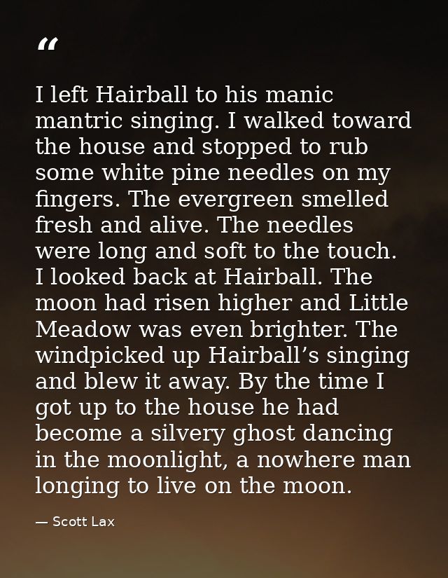 I left Hairball to his manic mantric singing. I walked toward the house and stopped to rub some white pine needles on my — Scott Lax
