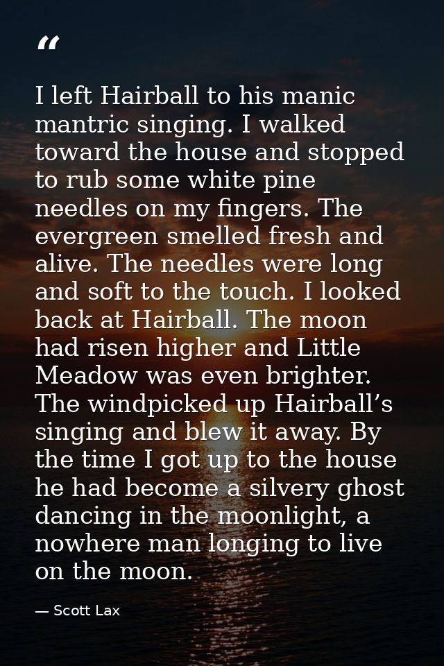 I left Hairball to his manic mantric singing. I walked toward the house and stopped to rub some white pine needles on my — Scott Lax