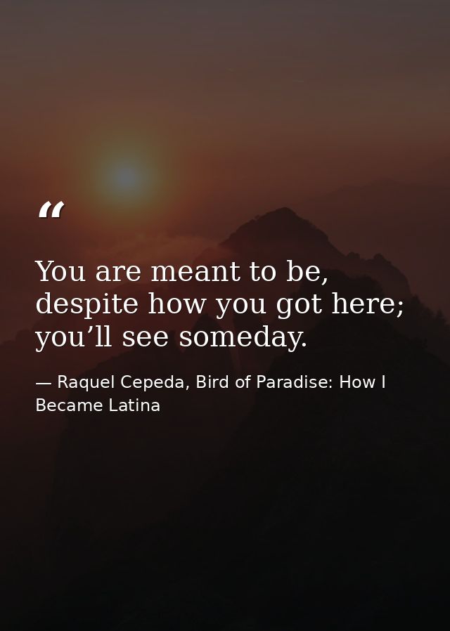 You are meant to be, despite how you got here; you’ll see someday. — Raquel Cepeda, Bird of Paradise: How I Became Latina