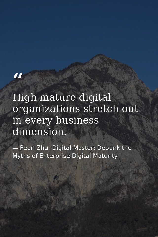 High mature digital organizations stretch out in every business dimension. — Pearl Zhu, Digital Master: Debunk the Myths of Enterprise Digital Maturity