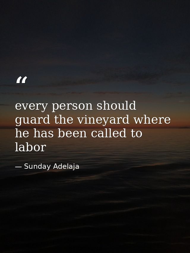 every person should guard the vineyard where he has been called to labor — Sunday Adelaja
