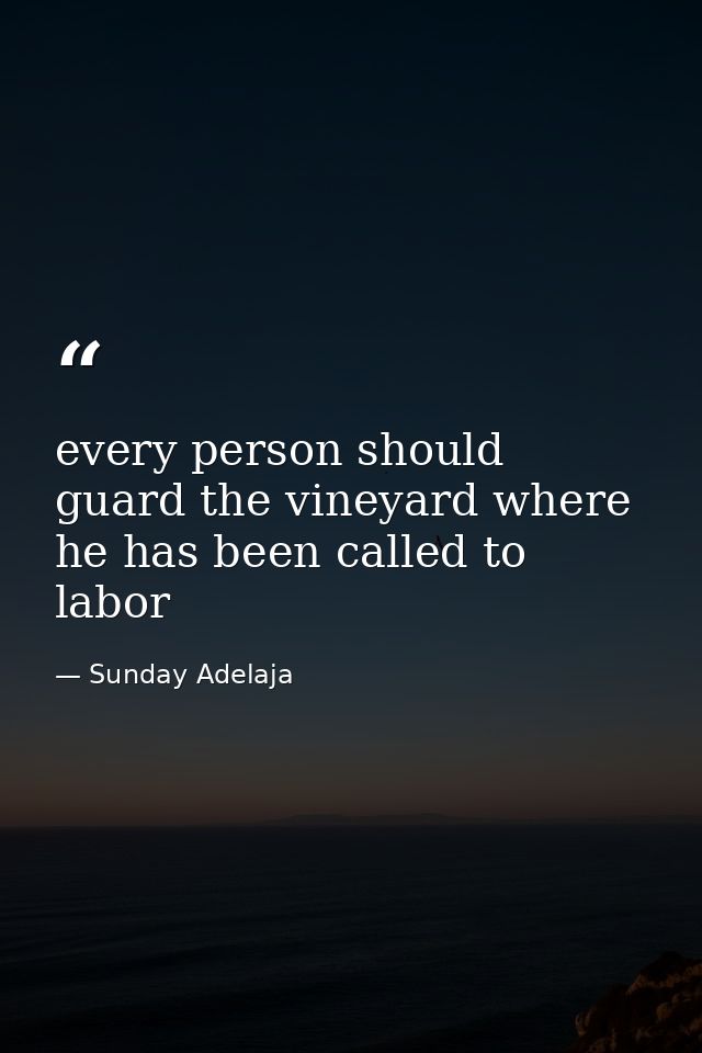 every person should guard the vineyard where he has been called to labor — Sunday Adelaja