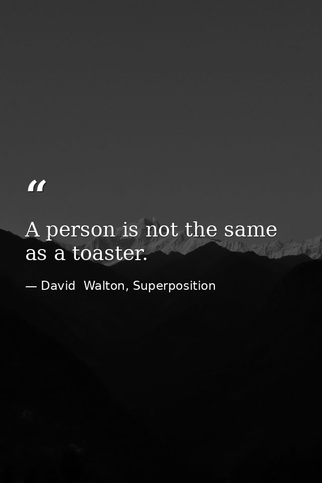 A person is not the same as a toaster. — David  Walton, Superposition