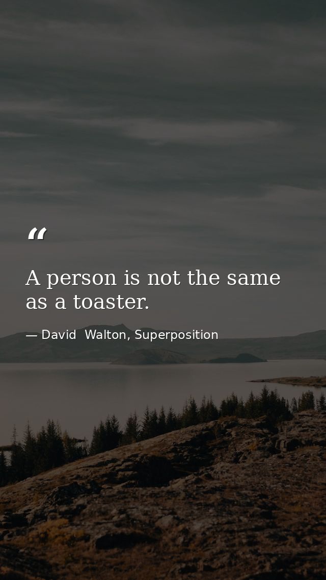 A person is not the same as a toaster. — David  Walton, Superposition