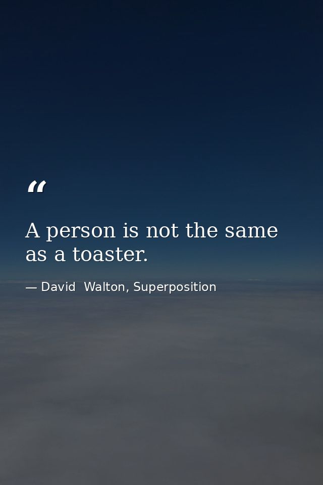 A person is not the same as a toaster. — David  Walton, Superposition