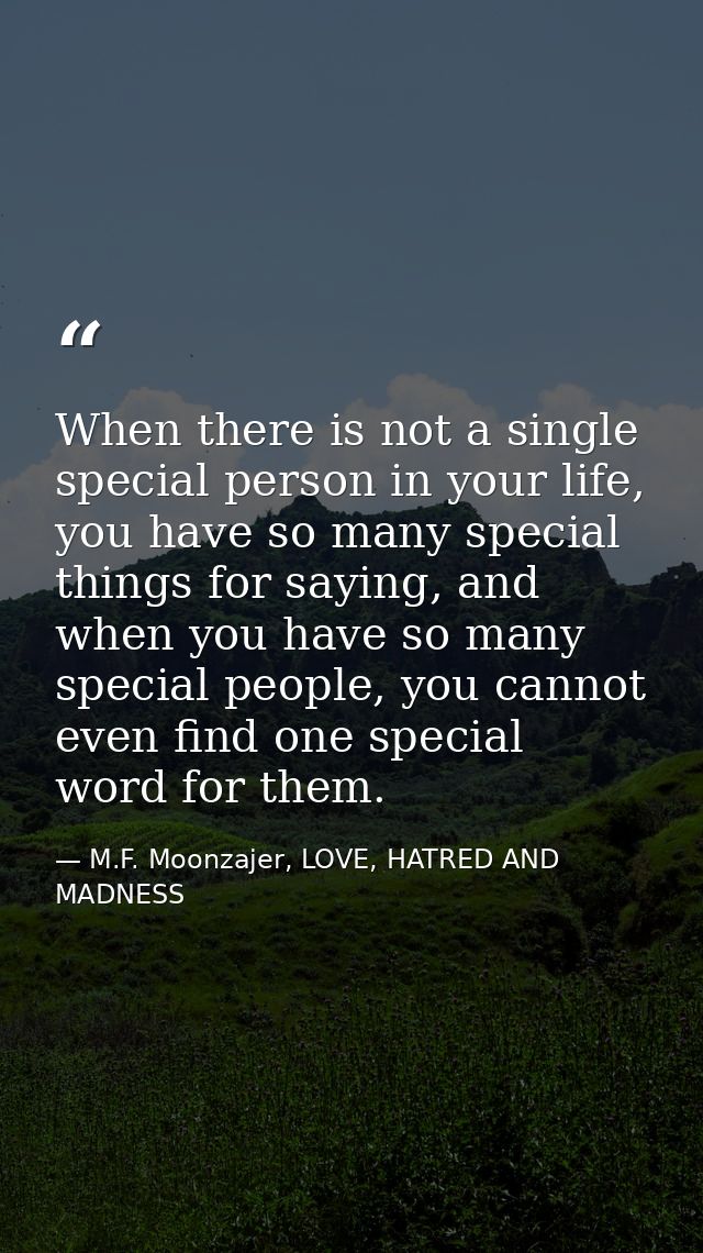 When there is not a single special person in your life, you have so many special things for saying, and when you have so — M.F. Moonzajer, LOVE, HATRED AND MADNESS