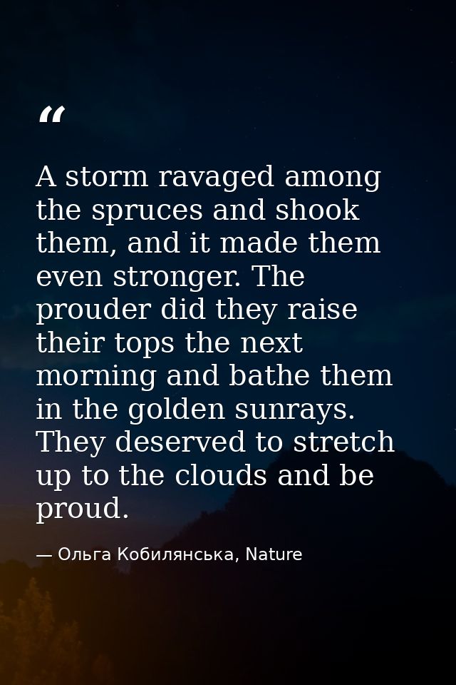 A storm ravaged among the spruces and shook them, and it made them even stronger. The prouder did they raise their tops  — Ольга Кобилянська, Nature