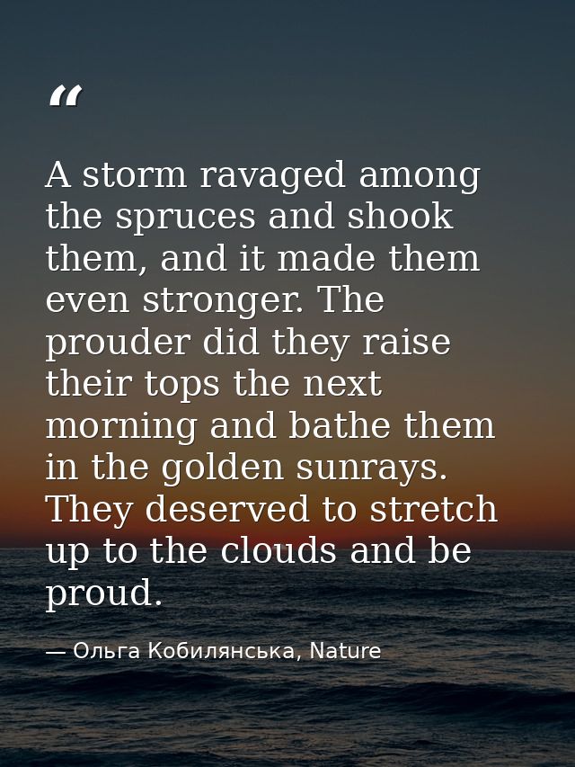 A storm ravaged among the spruces and shook them, and it made them even stronger. The prouder did they raise their tops  — Ольга Кобилянська, Nature