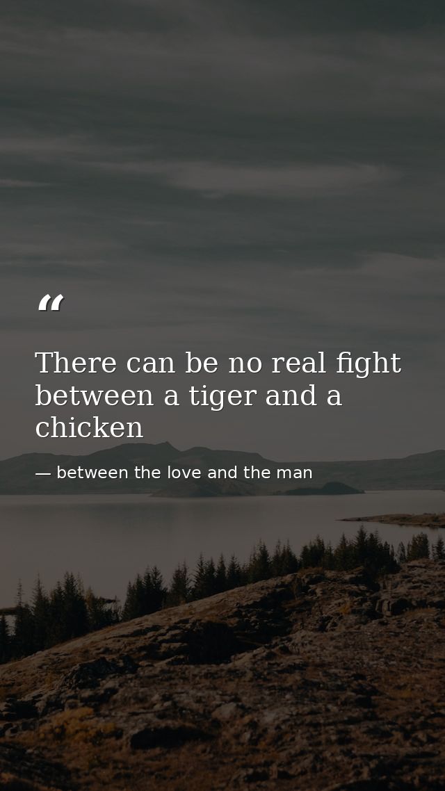 There can be no real fight between a tiger and a chicken — between the love and the man
