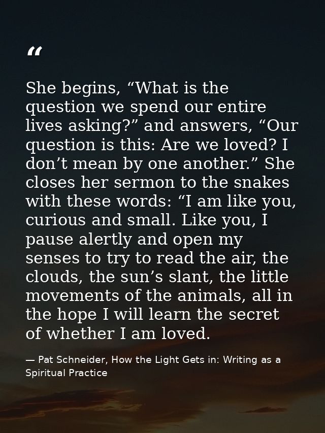 She begins, “What is the question we spend our entire lives asking?” and answers, “Our question is this: Are we loved? I — Pat Schneider, How the Light Gets in: Writing as a Spiritual Practice