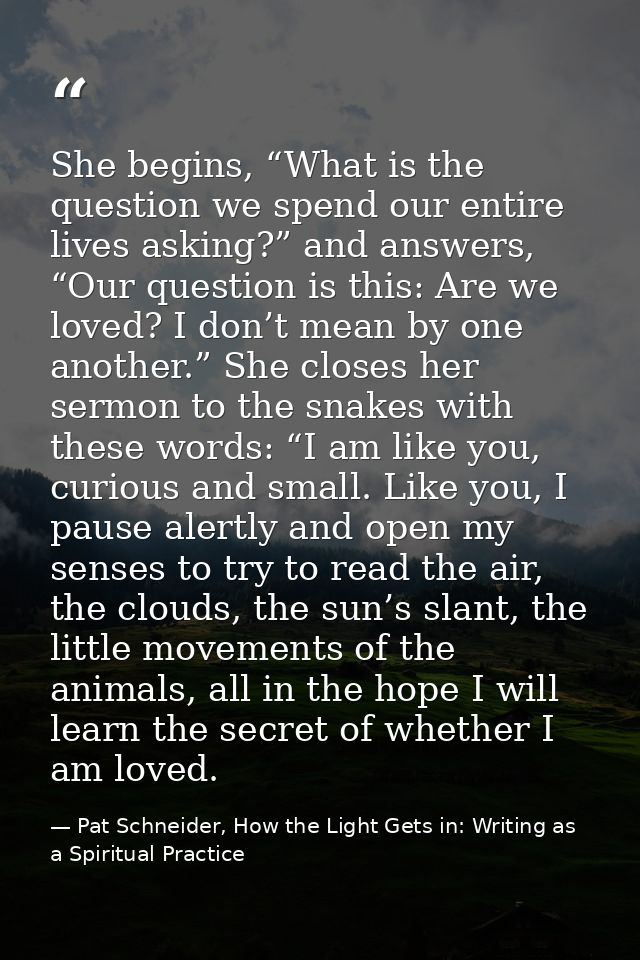 She begins, “What is the question we spend our entire lives asking?” and answers, “Our question is this: Are we loved? I — Pat Schneider, How the Light Gets in: Writing as a Spiritual Practice