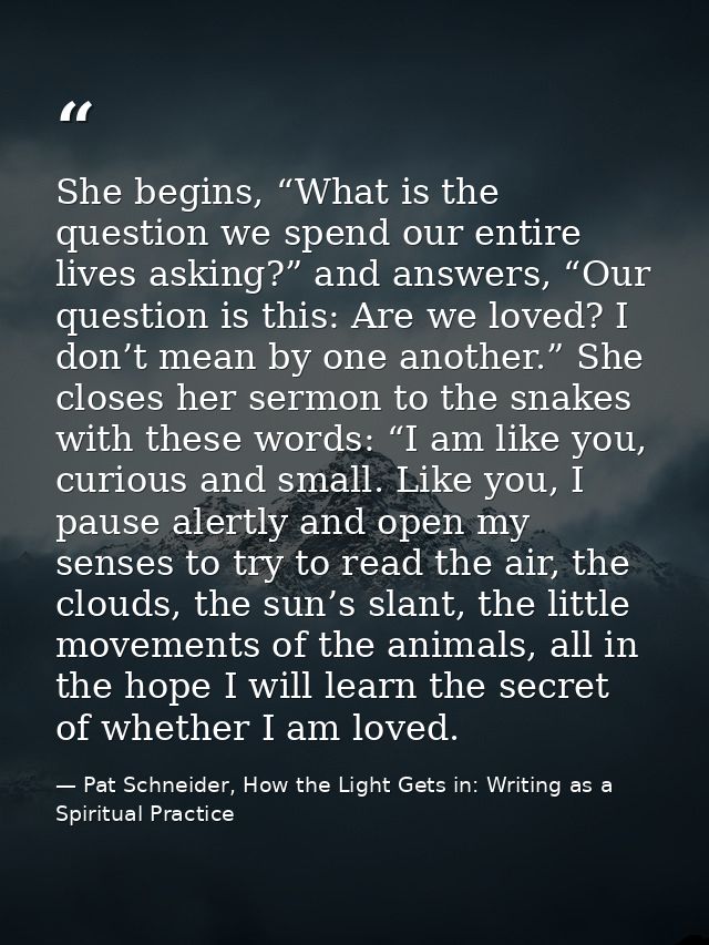 She begins, “What is the question we spend our entire lives asking?” and answers, “Our question is this: Are we loved? I — Pat Schneider, How the Light Gets in: Writing as a Spiritual Practice