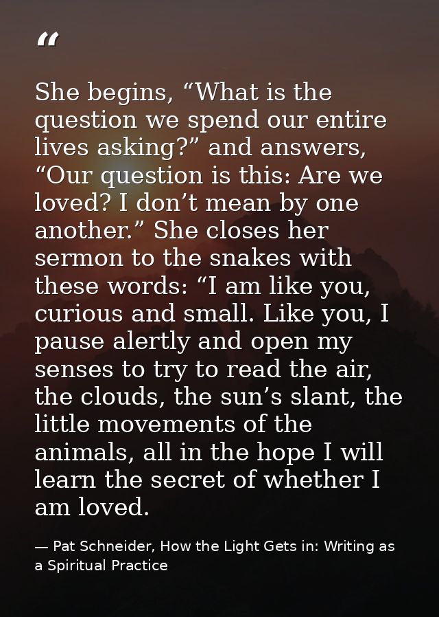 She begins, “What is the question we spend our entire lives asking?” and answers, “Our question is this: Are we loved? I — Pat Schneider, How the Light Gets in: Writing as a Spiritual Practice