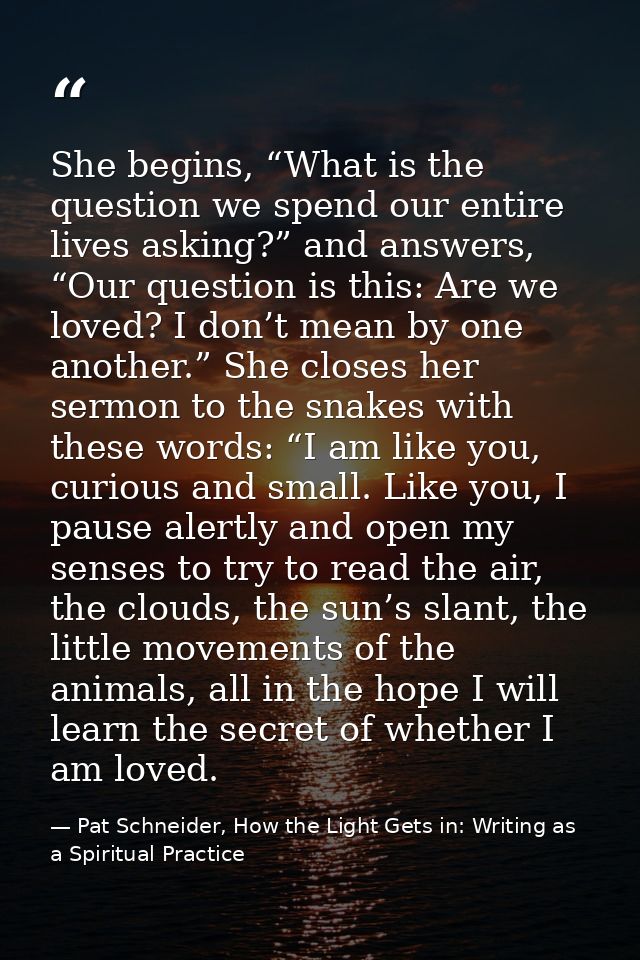 She begins, “What is the question we spend our entire lives asking?” and answers, “Our question is this: Are we loved? I — Pat Schneider, How the Light Gets in: Writing as a Spiritual Practice