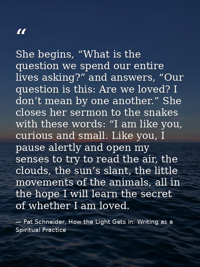 She begins, “What is the question we spend our entire lives asking?” and answers, “Our question is this: Are we loved? I — Pat Schneider, How the Light Gets in: Writing as a Spiritual Practice