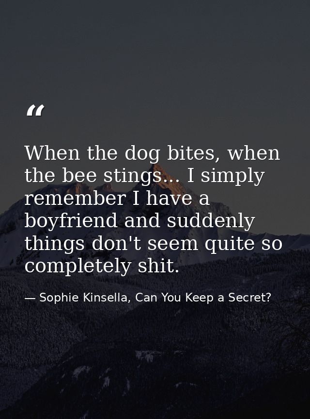 When the dog bites, when the bee stings... I simply remember I have a boyfriend and suddenly things don't seem quite so  — Sophie Kinsella, Can You Keep a Secret?